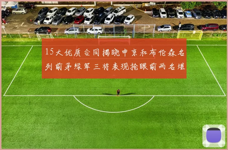 15大优质合同揭晓申京和布伦森名列前茅绿军三将表现抢眼前两名堪称传奇